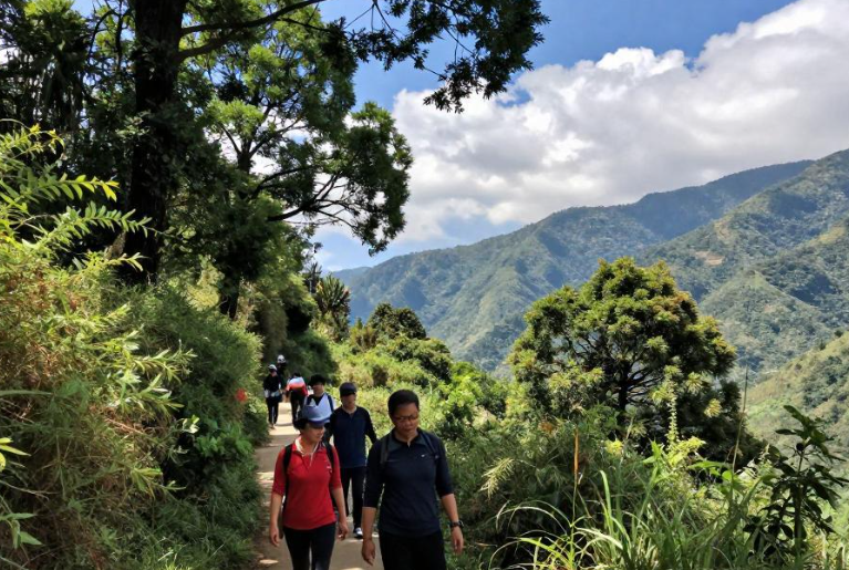2026越南沙巴高山草药步道慢走运动祛湿散寒吗? 2026越南沙巴高山草药步道慢走运动祛湿散寒吗?