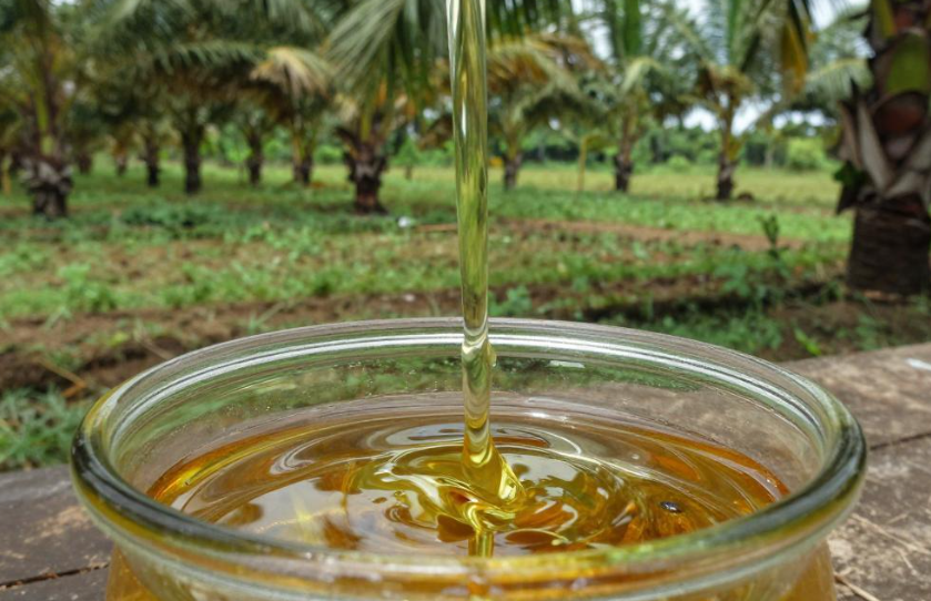 塞拉利昂棕榈仁油具有深层滋润干燥肌肤的效果 塞拉利昂棕榈仁油具有深层滋润干燥肌肤的效果