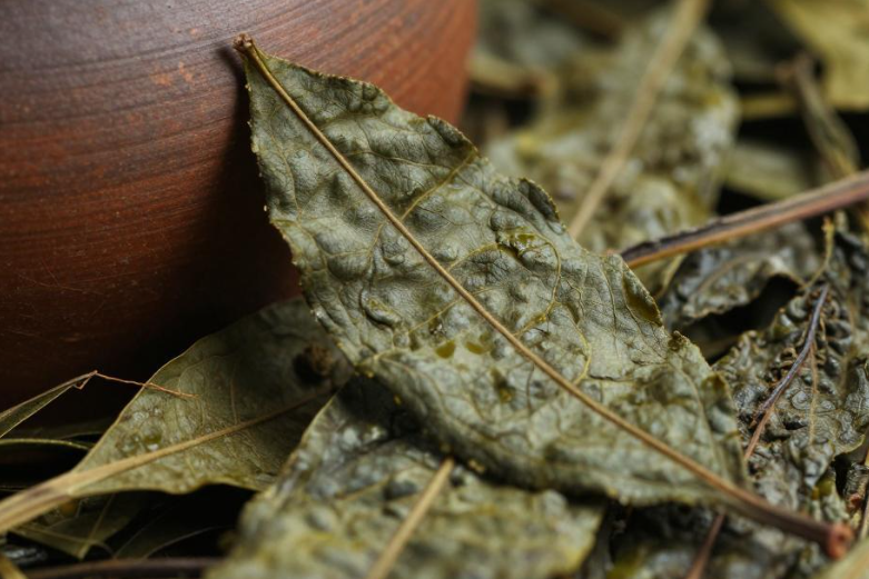 贝宁苦叶茶具有清热解毒和利尿消肿的功效