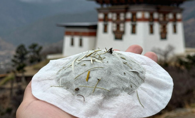 不丹寺院僧侣为何少关节痛?2026 不丹虎穴寺草本敷贴解密 不丹寺院僧侣为何少关节痛?2026 不丹虎穴寺草本敷贴解密