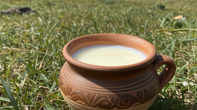 吉尔吉斯马乳酒调肠易激？2026 吉尔吉斯天山牧区发酵饮实测