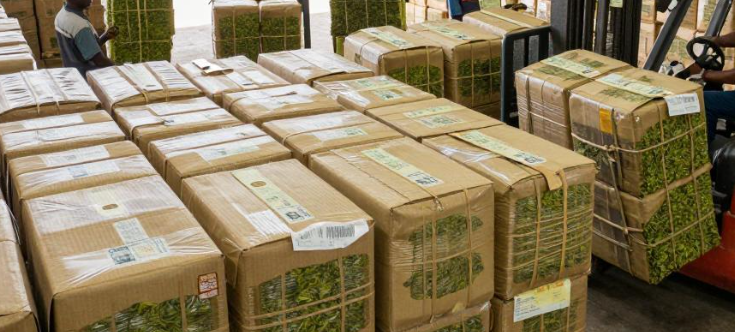 马拉维茶叶出口公司注册条件有哪些？