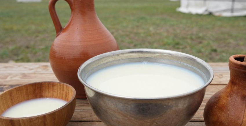 吉尔吉斯马乳酒调肠易激？2026 吉尔吉斯天山牧区发酵饮实测