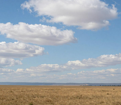 肯尼亚内罗毕草原越野车辆改装要求? 2026肯尼亚内罗毕越野车改装规范
