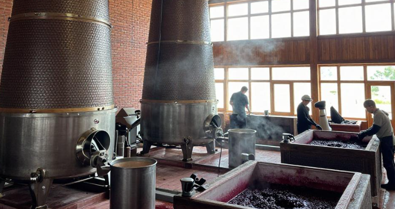 格鲁吉亚第比利斯葡萄酒公司注册麻烦吗？