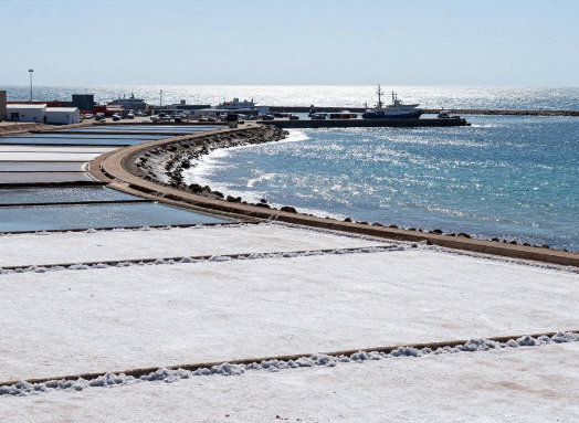 纳米比亚鲸湾港冷链保税仓注册有何标准? 2026年纳米比亚鲸湾港冷链物流保税仓注册规范