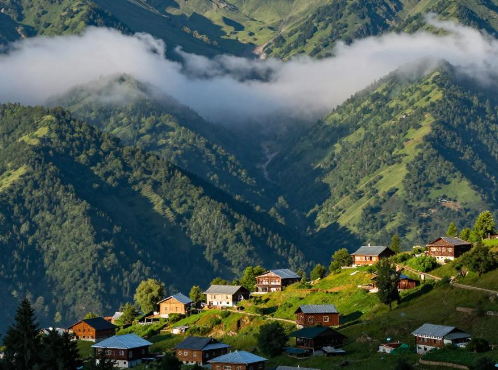 格鲁吉亚梅斯蒂亚山地文旅林地许可怎么办理? 2026 年格鲁吉亚梅斯蒂亚山地文旅林地资质规范