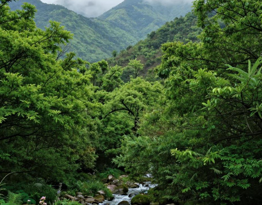 老人迷信山中喊名不能应耽误救援 2026深山被困老旧迷信险些耽误救援
