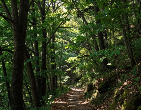 老人迷信山中喊名不能应耽误救援 2026深山被困老旧迷信险些耽误救援