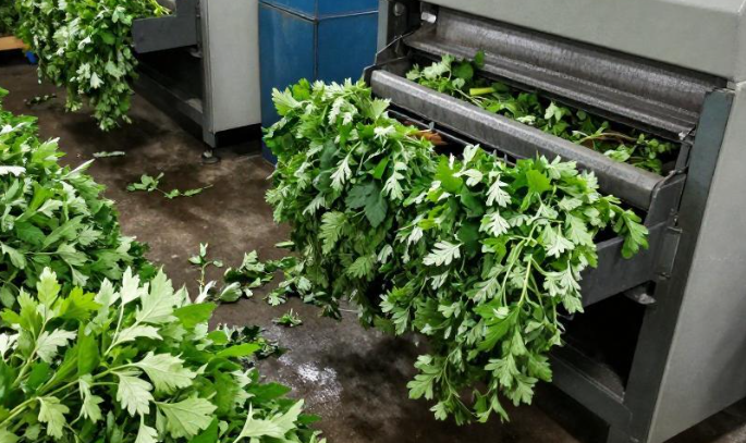 科摩罗香草加工厂水电配套对接途径有哪些？