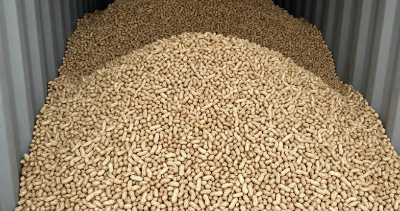 冈比亚花生货品集装箱装箱实操注意事项是什么？