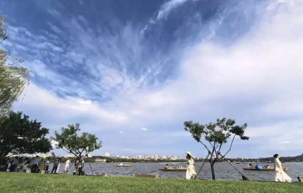 台风白海豚体型堪比东北三省 台风白海豚存在在我国登陆的可能性