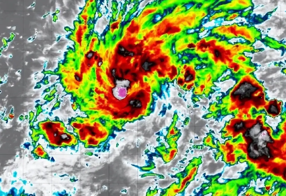 台风白海豚体型堪比东北三省 台风白海豚存在在我国登陆的可能性