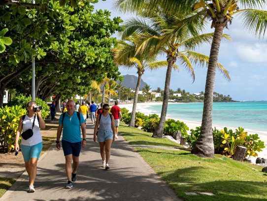 荷属圣马丁菲利普斯堡旅游开发注册? 2026荷属圣马丁旅游开发注册条件