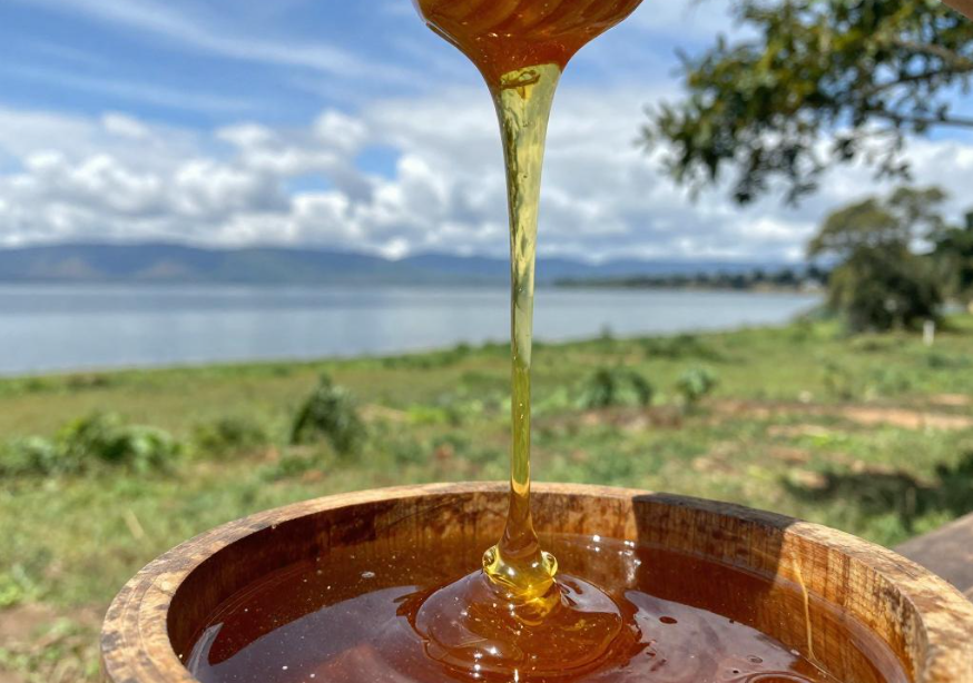赞比亚卡里巴湖野生蜂蜜对胃溃疡有帮助吗? 赞比亚卡里巴湖野生蜂蜜对胃溃疡有帮助吗?