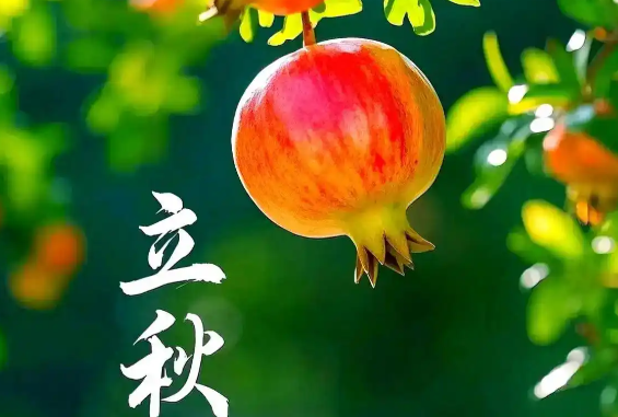 今年是“闭眼秋” 立秋并不等于入秋暑热还将持续