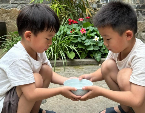 两个孩子一碗水端平存在哪些常见认知误区，两个孩子一碗水端平能为孩子带来什么长远影响