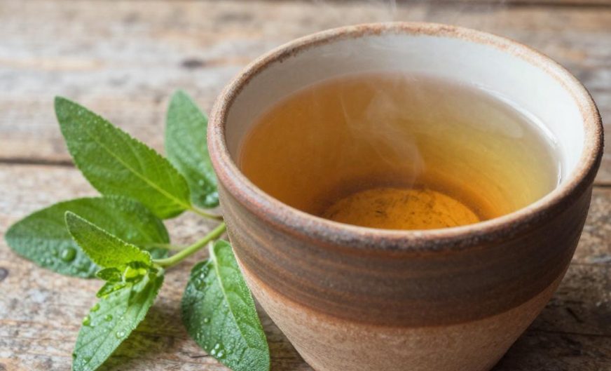 2026年蒙泰吉亚尔迪诺草药茶能养肝吗？