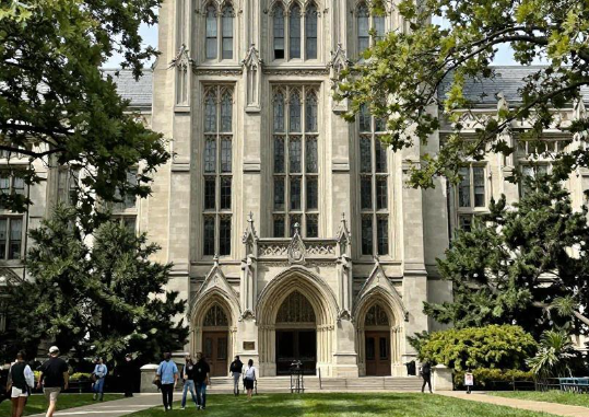 2026年纽约大学商学院本科奖学金政策？
