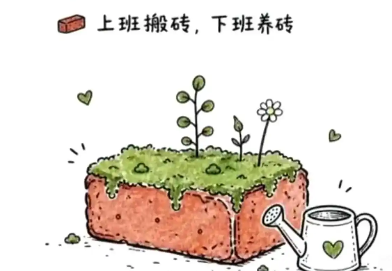 年轻人开始流行“养砖头” 砖头上的苔藓好养吗？如何挑选合适的砖头