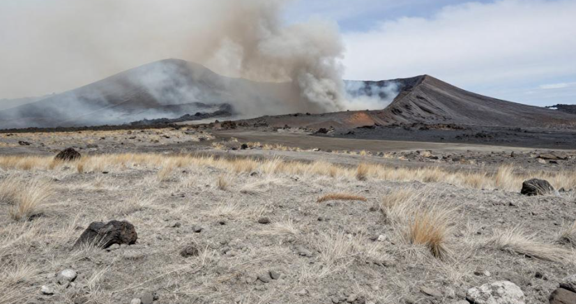 汤加火山灰沉积怎样提升当地农产出口的品质溢价？