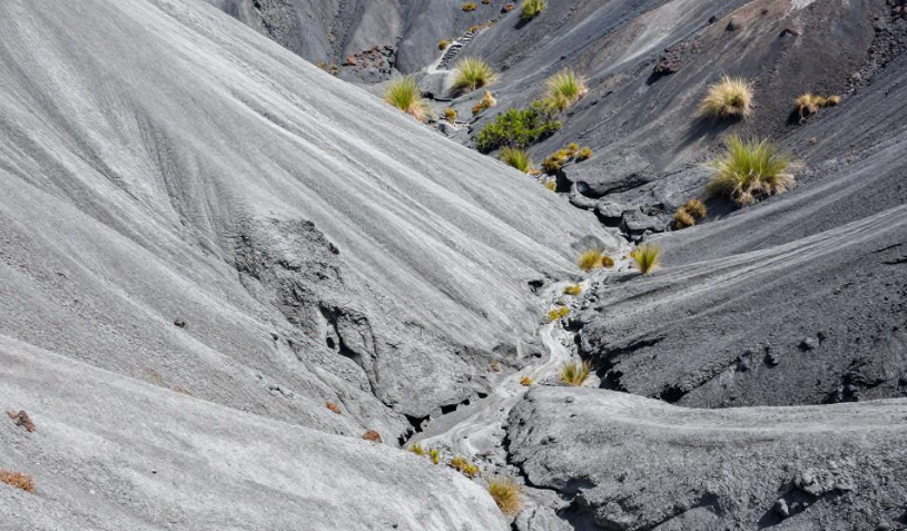 苏拉威西岛火山土壤如何影响罗布斯塔咖啡品质？