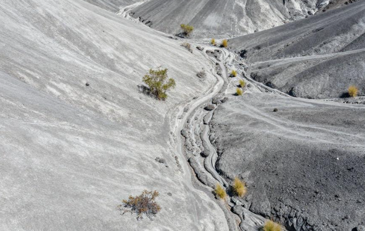 松巴哇岛火山灰怎样支撑海葡萄养殖的品质差异化？