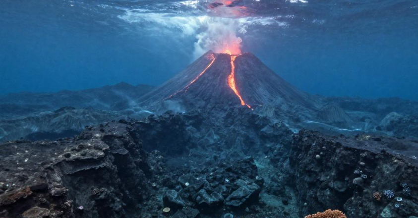 班达群岛深海火山怎样支撑肉豆蔻种植的品质分级？
