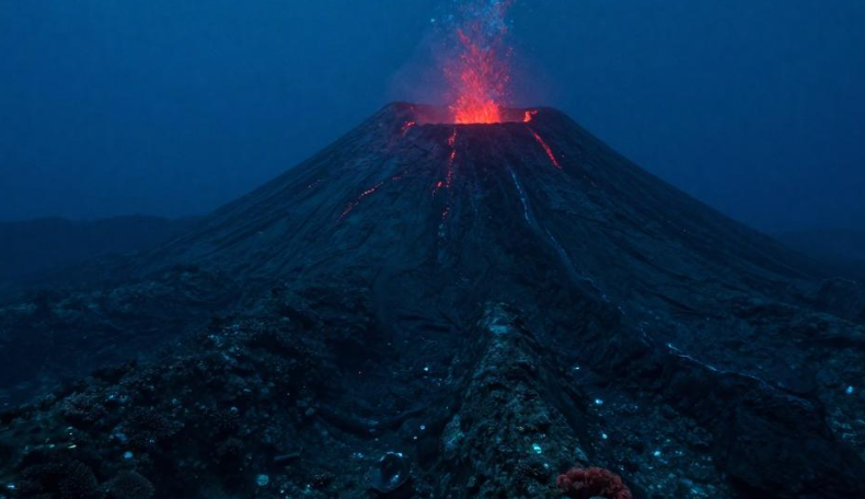 班达群岛深海火山怎样支撑肉豆蔻种植的品质分级？
