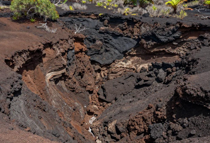 苏拉威西岛火山土壤如何影响罗布斯塔咖啡品质？