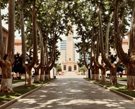 2026地拉那大学民俗研究所与历史语言学院巴尔干民俗社科课题及田野调查网络