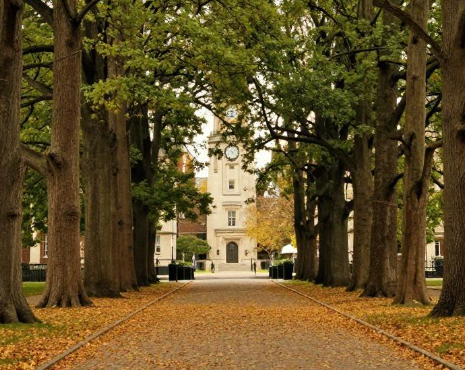 惠灵顿维多利亚大学如何依托新西兰海湾环境规划实地教学? 2026惠灵顿维多利亚大学海湾实地教学指引