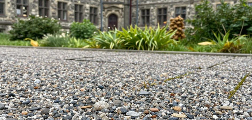 2026年斯瓦尔巴大学何以专攻极地研究? 2026年斯瓦尔巴大学何以专攻极地研究?