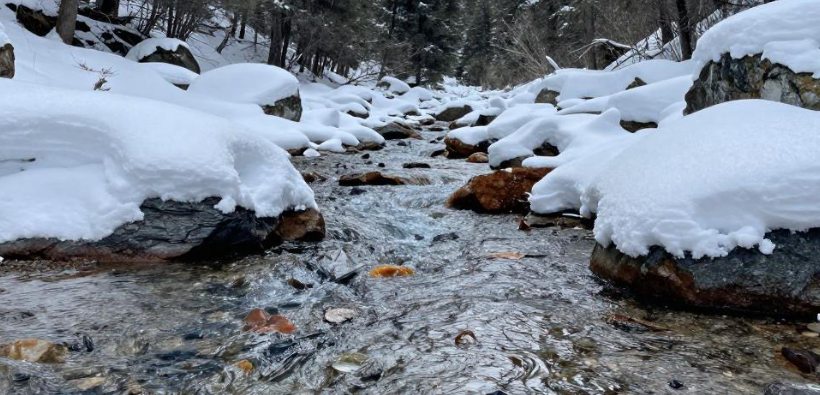 阿尔泰山雪水矿物饮用价值 阿尔泰山雪水矿物饮用价值