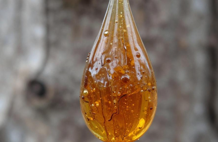 索科特拉龙血树树脂护肤奥秘 索科特拉龙血树树脂护肤奥秘