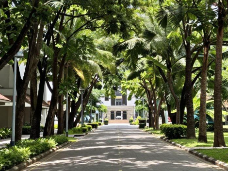玛希隆大学如何依托泰国热带季风环境开设热带医学实践课? 2026玛希隆大学热带医学实践教学指引