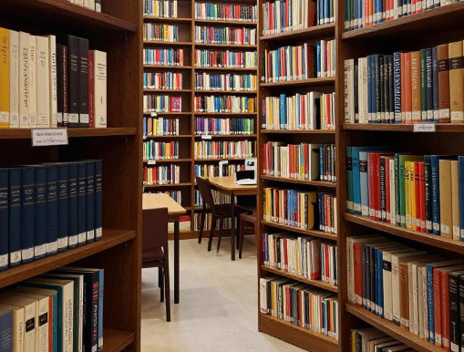 苏丹大学如何依托撒哈拉南缘萨赫勒地带开展干旱生态教学? 2026苏丹大学萨赫勒干旱生态教研解析