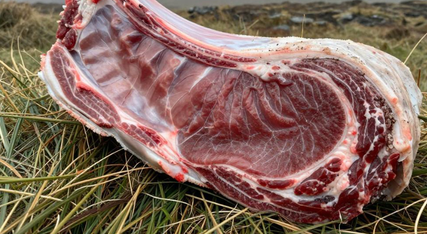 2026设得兰咸风熟成羊肉有何独特之处？