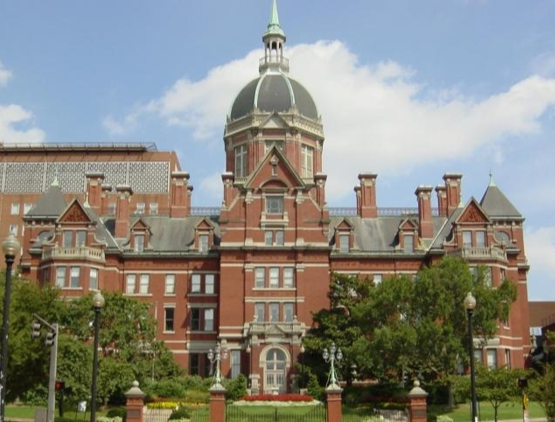 约克圣约翰大学医疗实践专业录取标准2026 约克圣约翰大学本科留学生招生要求2026
