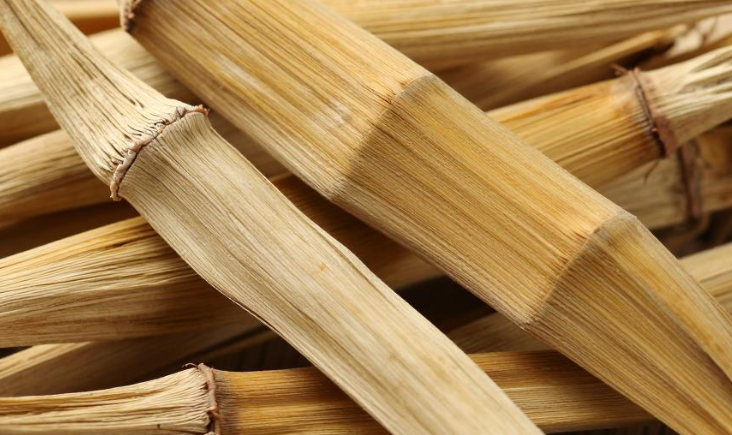 挑选干玉竹时怎么判断原料品质优劣? 挑选干玉竹时怎么判断原料品质优劣?