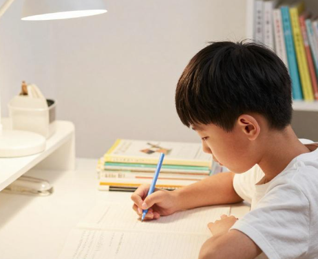 2026年小学生分段背诵课文能提升记忆效率吗？