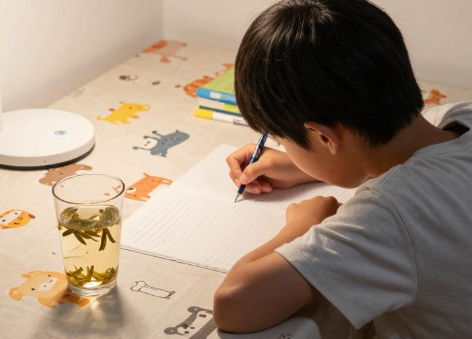 2026年小学生拆分作业任务能提升写作业效率吗？