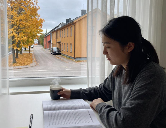 瑞典松兹瓦尔中部大学教育硕士专业发展与研究英语授课申请条件