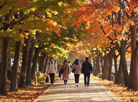 2026年韩国东西步道横贯半岛徒步怎么安排