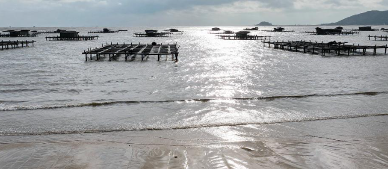 霞浦海岸风物笔记如何搭建个人长期记录框架? 霞浦海岸风物笔记如何搭建个人长期记录框架?