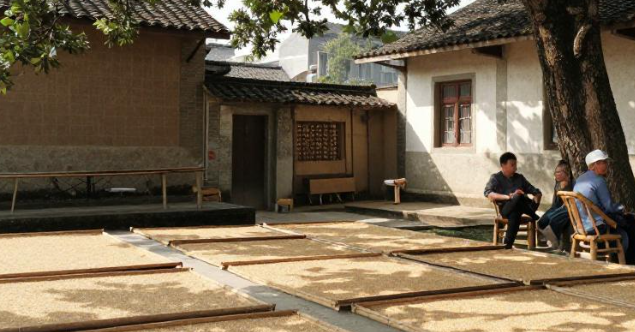 柘荣乡土谚语收集自学如何分类整理内容？