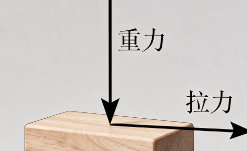 2026年受力分析操作三件套——六步流程·虚力排除·基础模型 2026年受力分析操作三件套——六步流程·虚力排除·基础模型