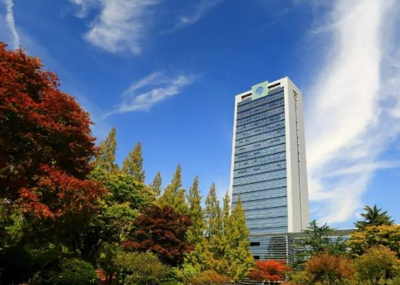 崇实大学国际法务专业录取标准2026 崇实大学本科留学生招生要求2026