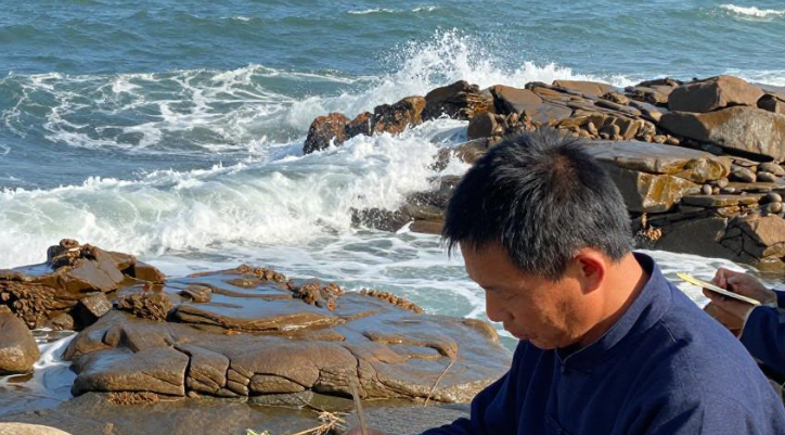 漳浦海岸民俗故事自学适合做哪些文字梳理？