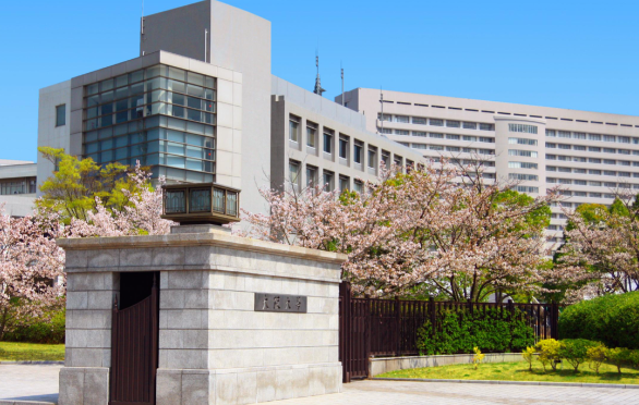 名樱大学运动健康专业录取标准2026 名樱大学本科留学生招生要求2026